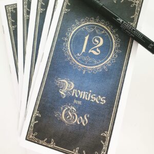 12 Promises - complete set