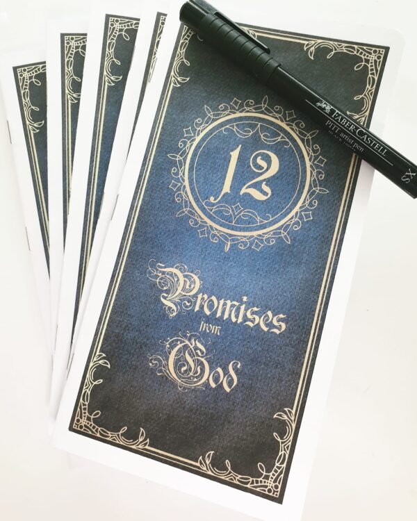 12 Promises - complete set