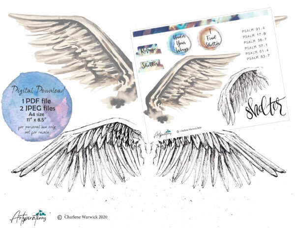 Shelter - Artspirations printable