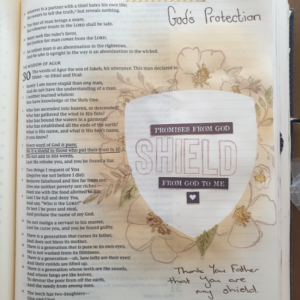 His Protection - February 2020 12 Promises