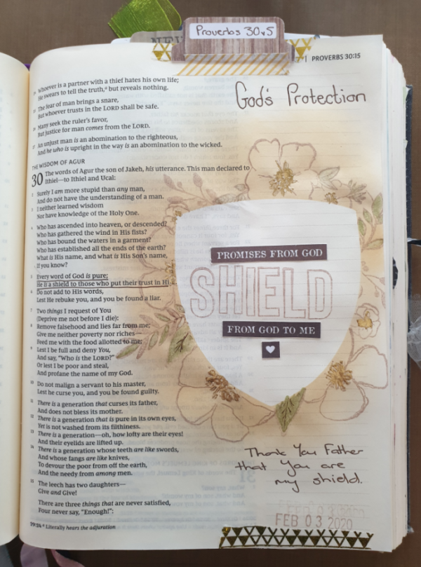 His Protection - February 2020 12 Promises