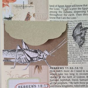 Words of Wisdom - 05. The Wisdom of Discipline