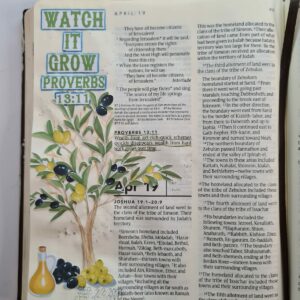 Words of Wisdom - 10. The Wisdom of Stewardship