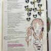 WGS 202304 - My grace is sufficient - 2 Cor 12v9 - Painted Lemons - Image 2